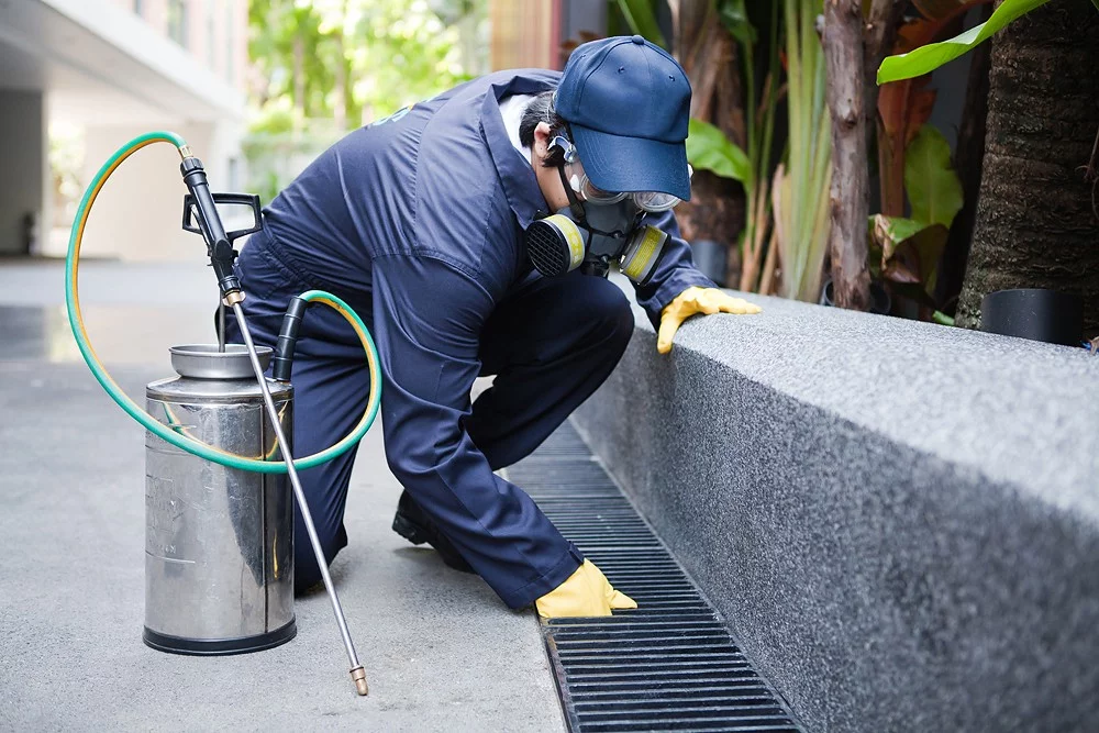 commercial-pest-control